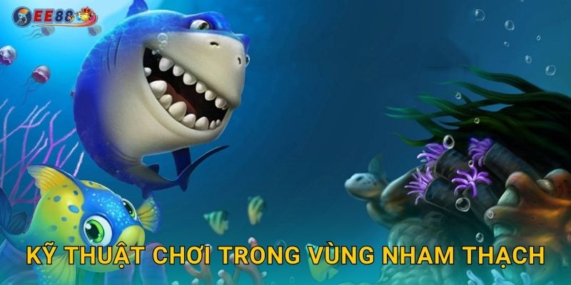 Kỹ thuật chơi trong vùng nham thạch